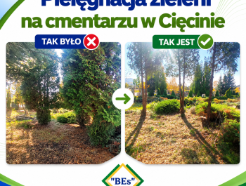 Zakończenie prac porządkowych i pielęgnacyjnych na cmentarzu w Cięcinie - zdjęcie1