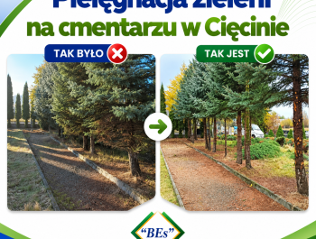 Zakończenie prac porządkowych i pielęgnacyjnych na cmentarzu w Cięcinie - zdjęcie3
